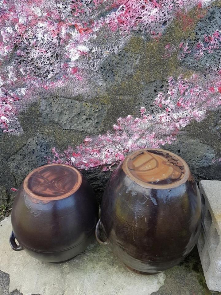 제주 Hadori Mindfulness 빌라 외부 사진